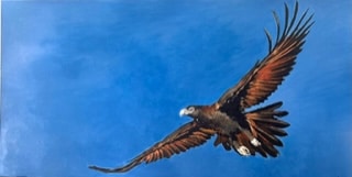 ‘Freedom’ - 2026