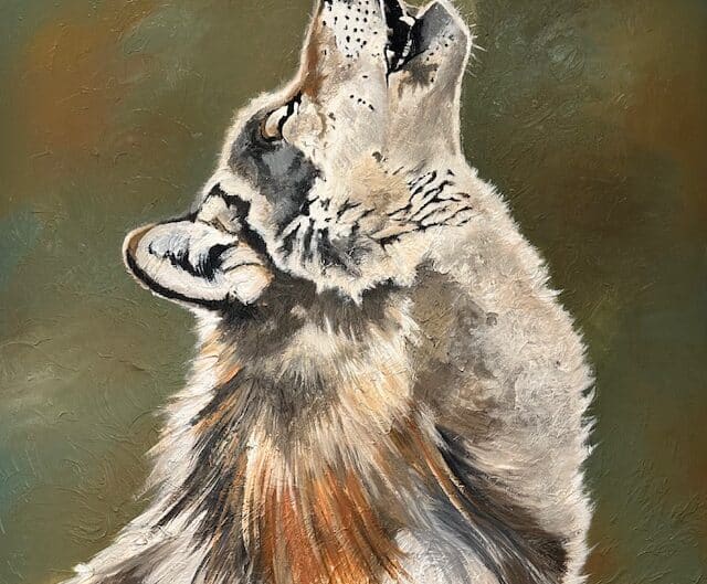Wild Spirit