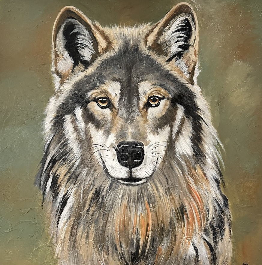 Regal gaze